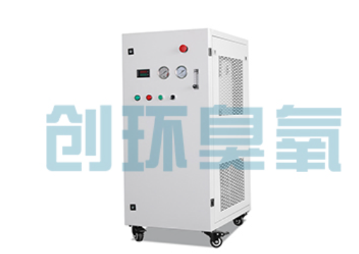 内蒙古石斑鱼养殖水质调控完整指南：臭氧发生器配置与操作步骤