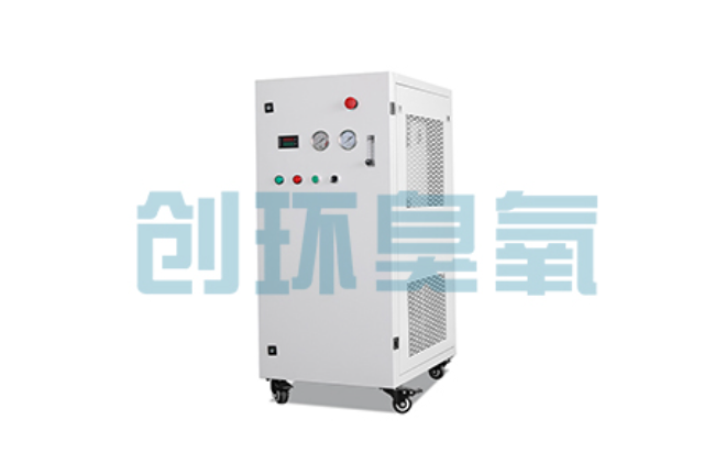 内蒙古比传统换水更高效？臭氧发生器在石斑鱼养殖中的水质净化原理解析