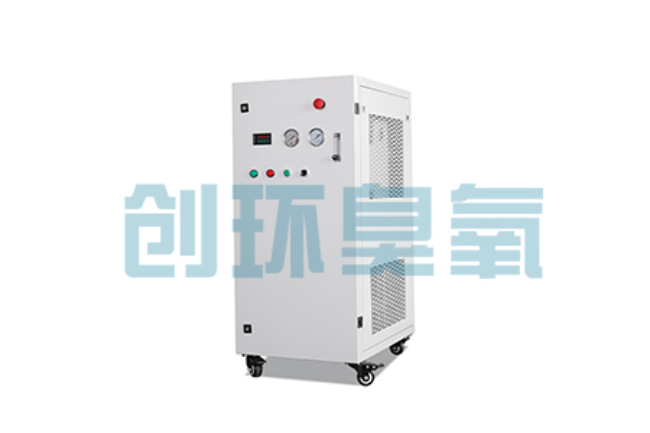 内蒙古比传统换水更高效?臭氧发生器在石斑鱼养殖中的水质净化原理解析